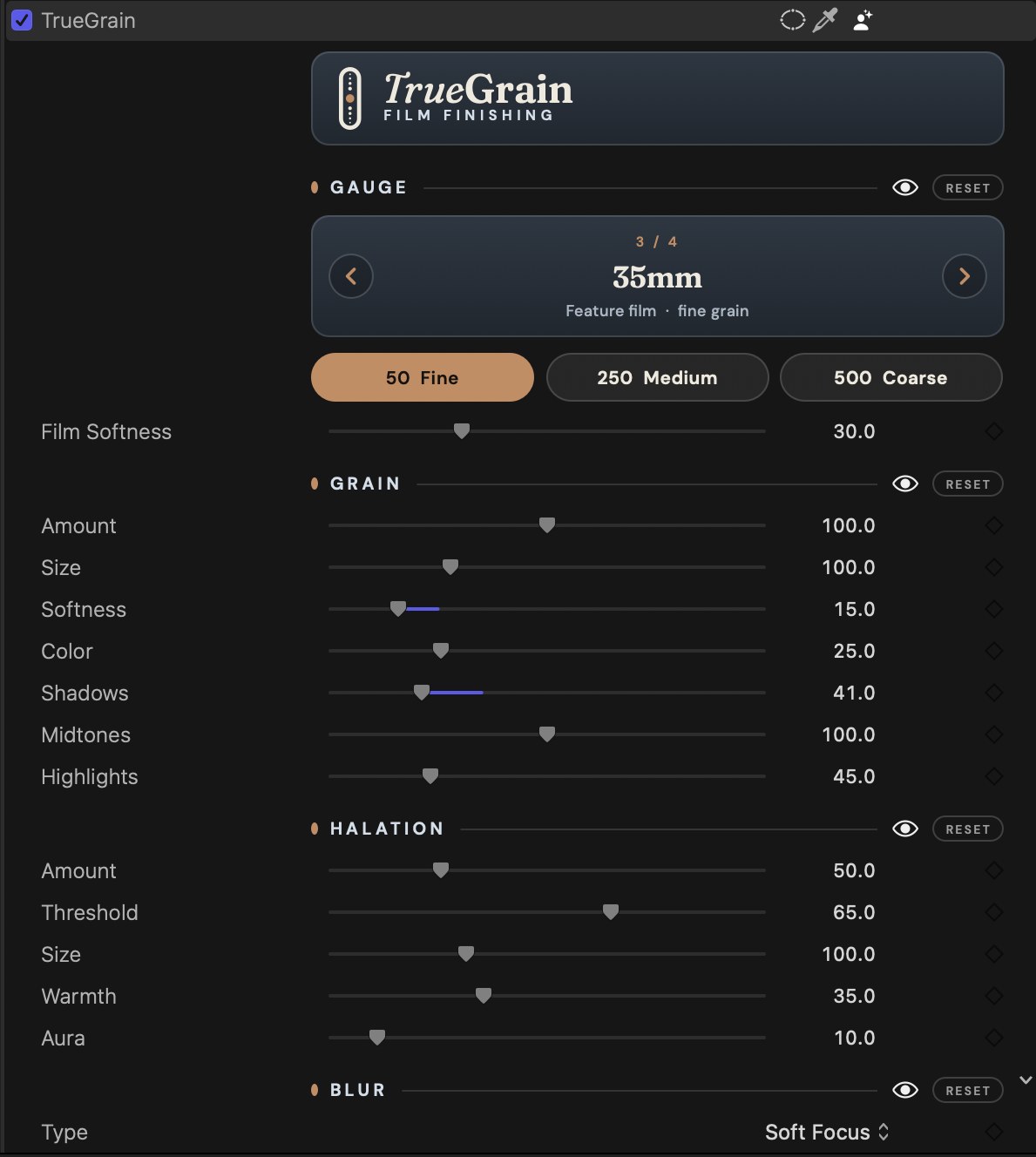 The TrueGrain inspector in Final Cut Pro: a 35mm gauge card, film speed pills, grain and halation controls